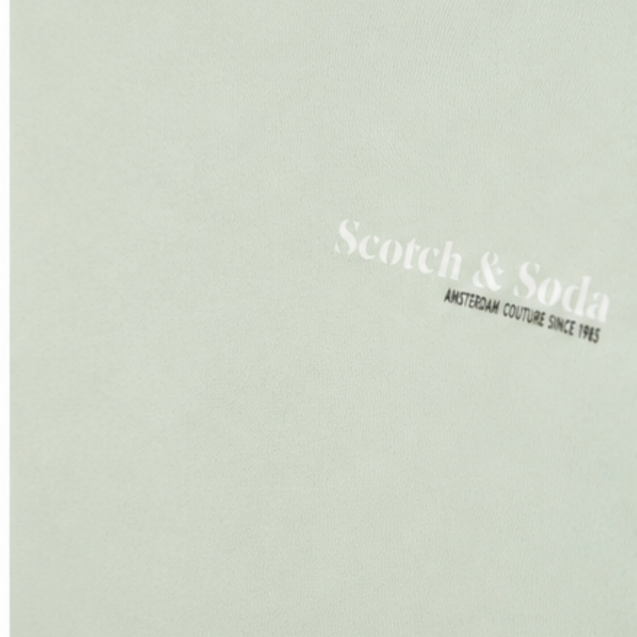 Polerón Hoodie Scotch and Soda Logo - Verde Menta