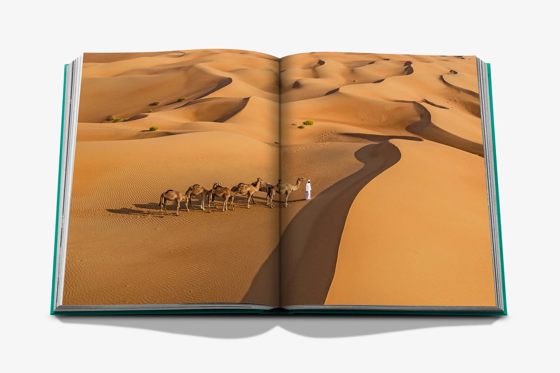 Libro Assouline Abu Dhabi Bright