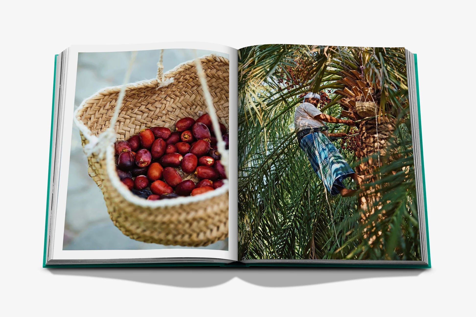 Libro Assouline Abu Dhabi Bright