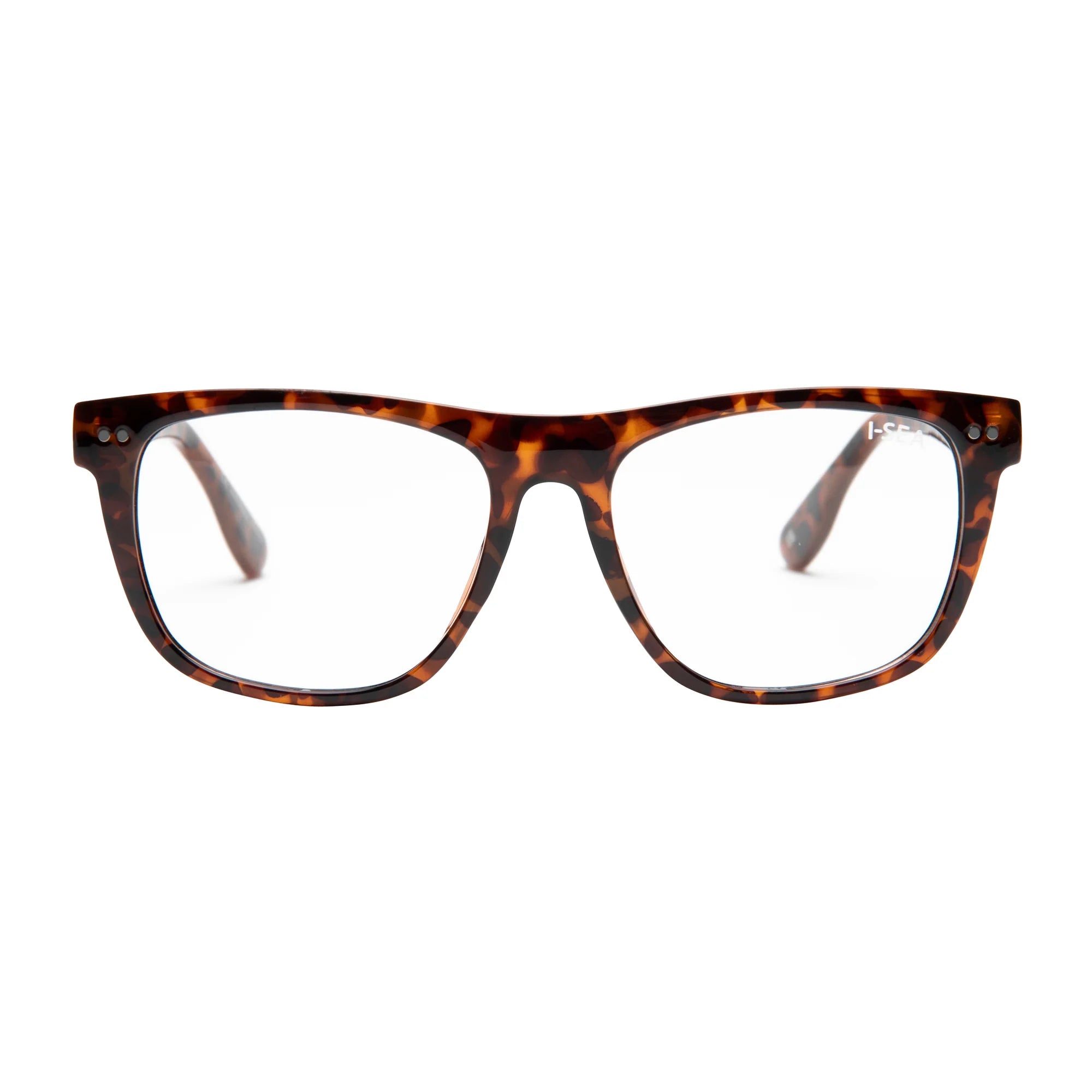Ashton Reader Tort / Blue Light