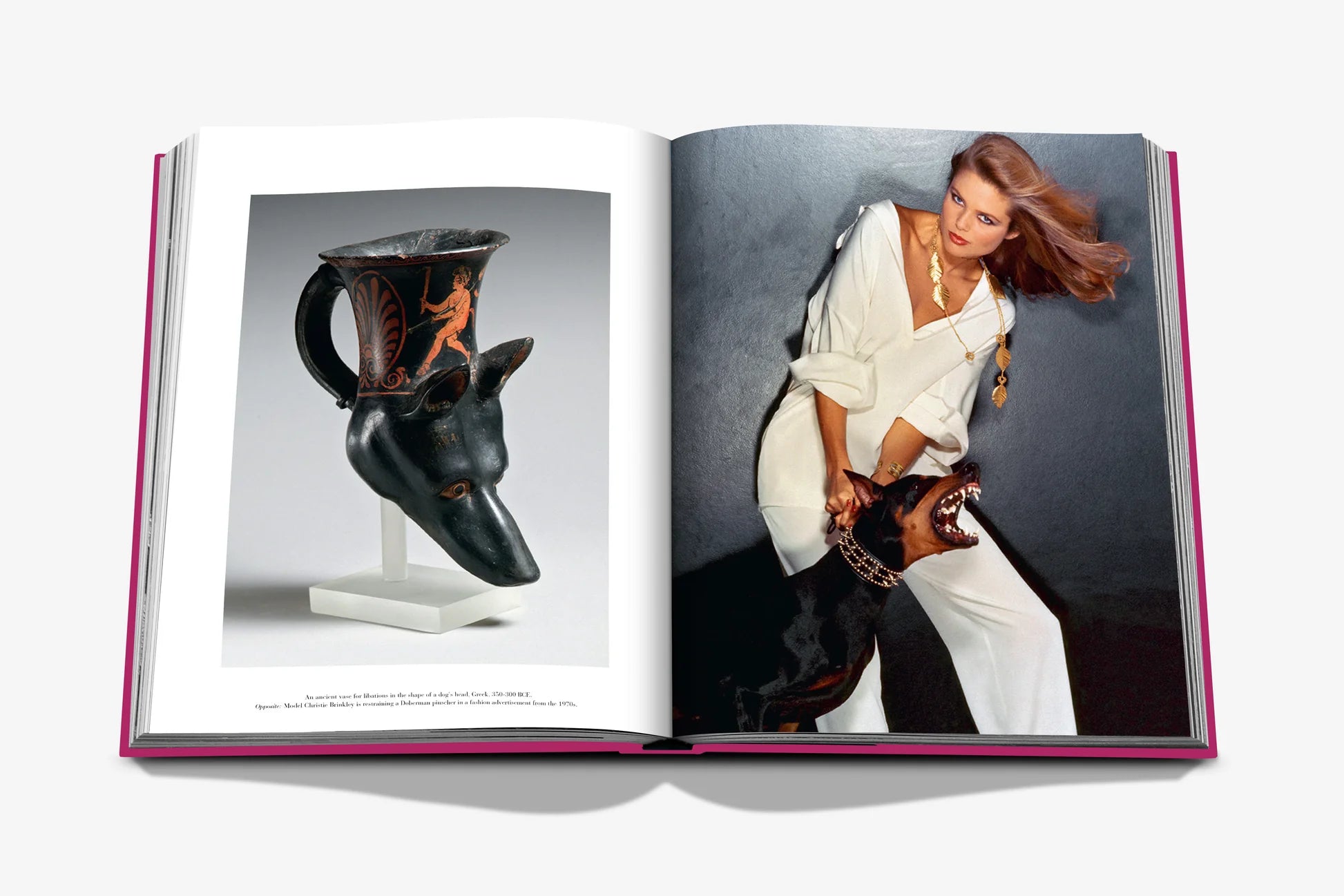 Libro Assouline Chic Dogs