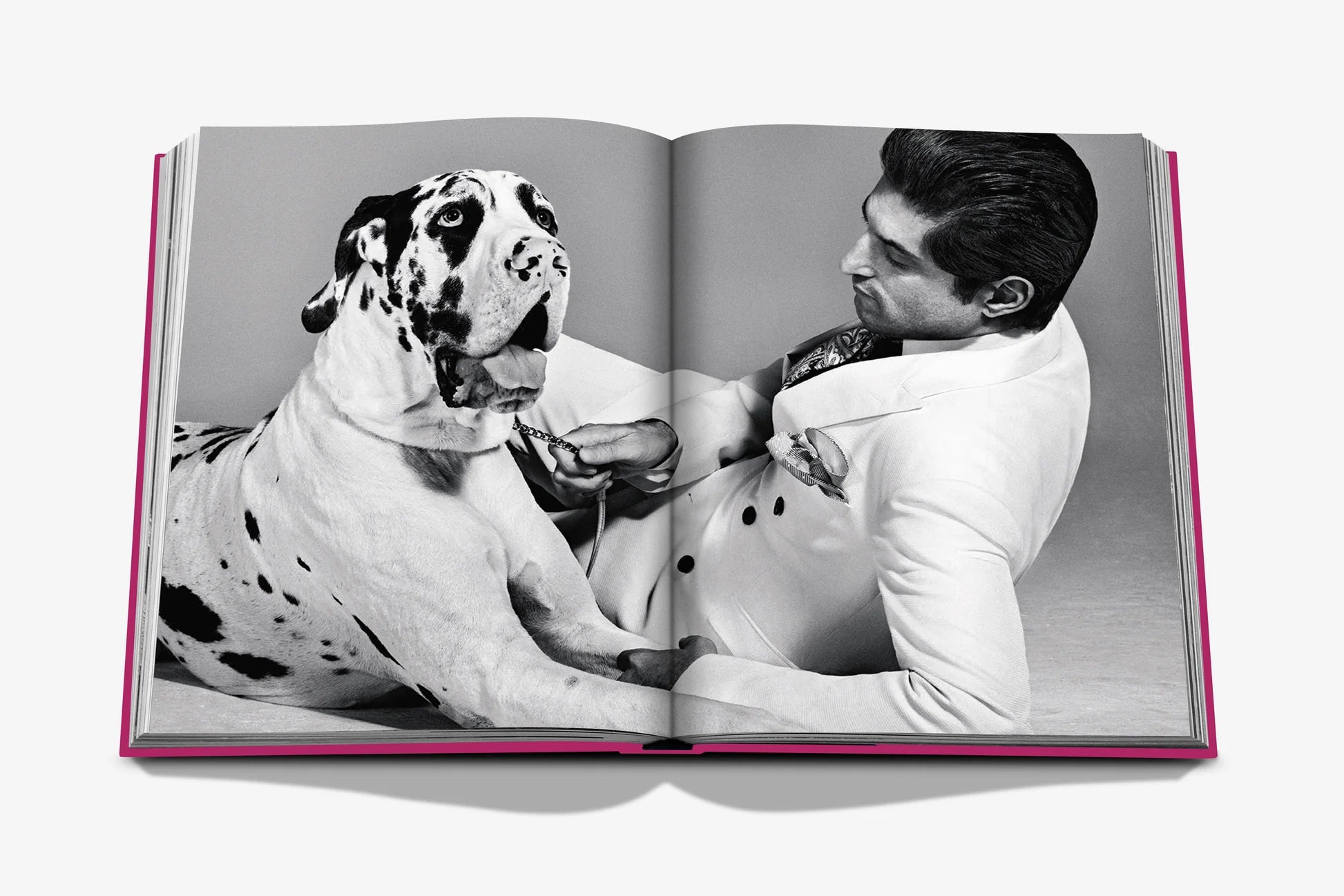 Libro Assouline Chic Dogs