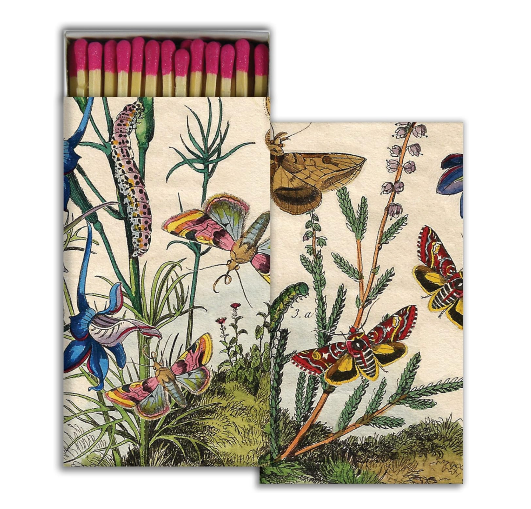 Fosforos Mariposas