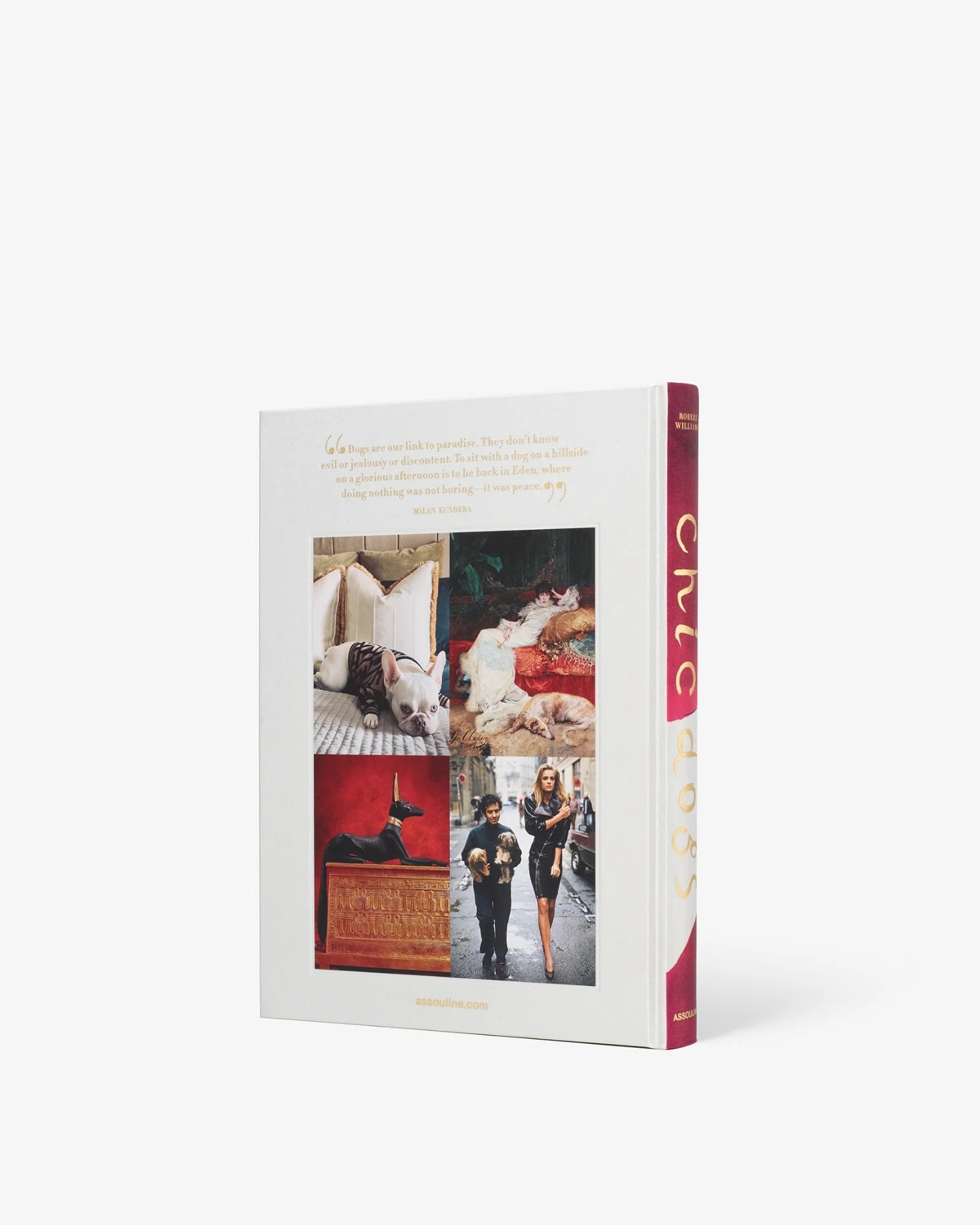 Libro Assouline Chic Dogs