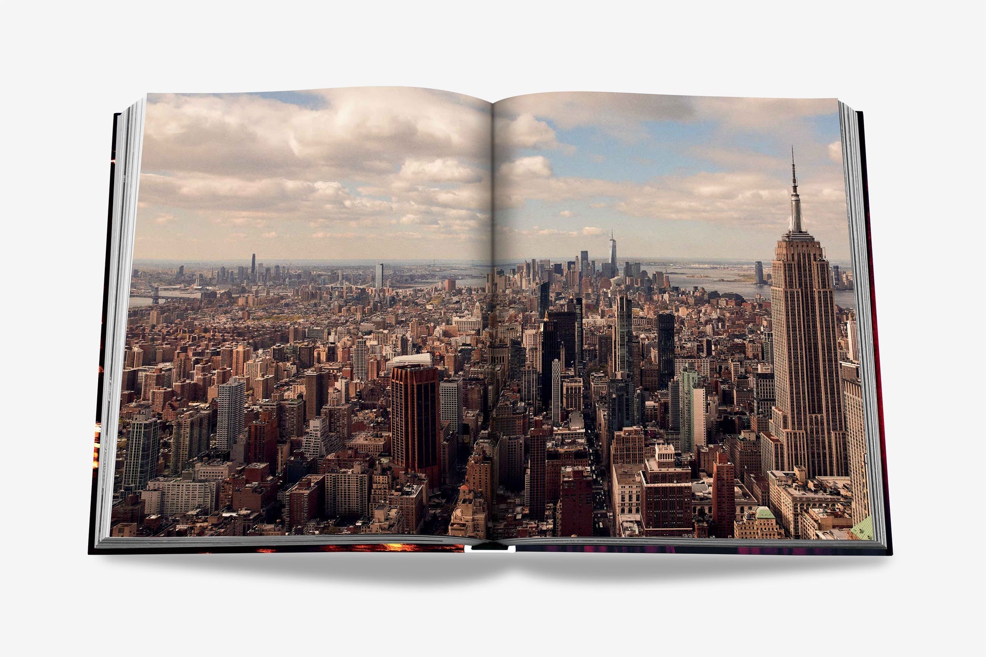 Libro Assouline New York Chic
