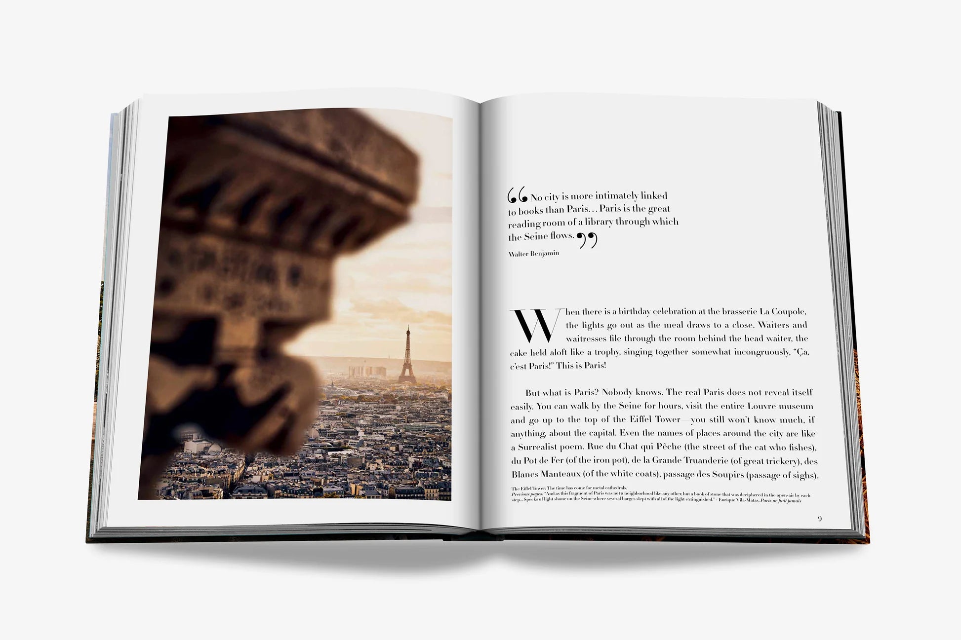 Libro Assouline Paris Chic