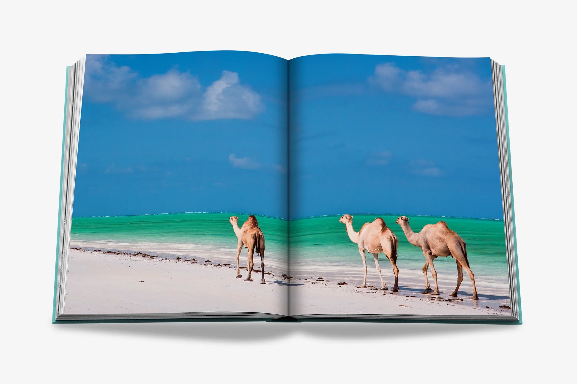 Libro Assouline Saudi Arabia: Red Sea, The Saudi Coast