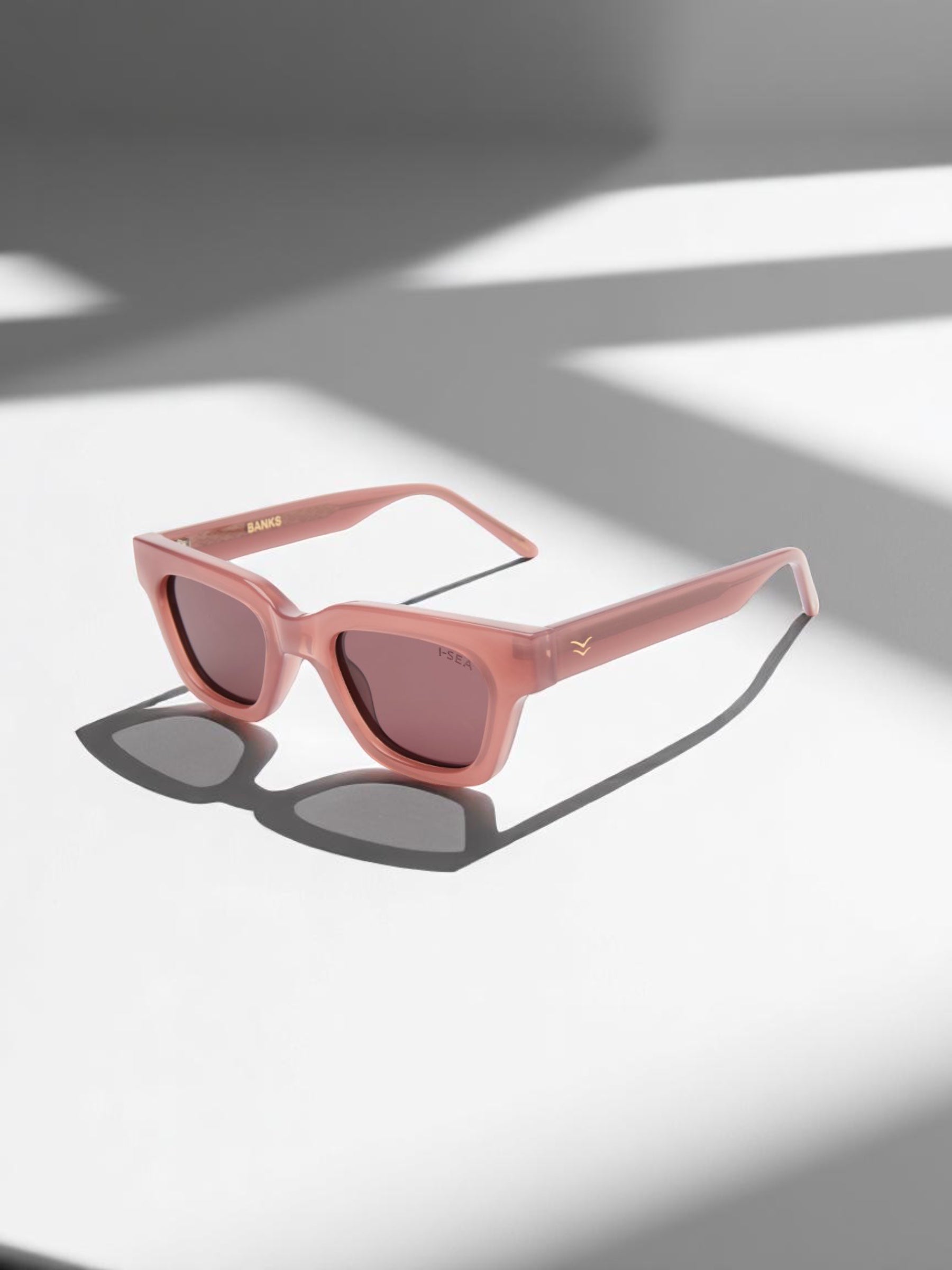 Anteojos Banks - Dusty Rose