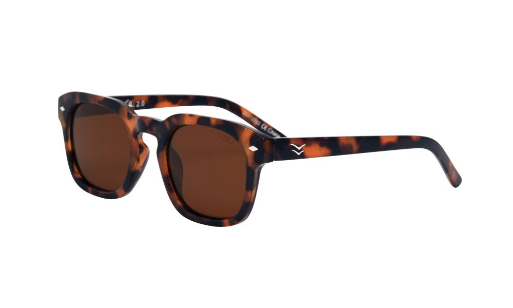 BLAIR 2.0 TORT / BROWN POLARIZED LENS