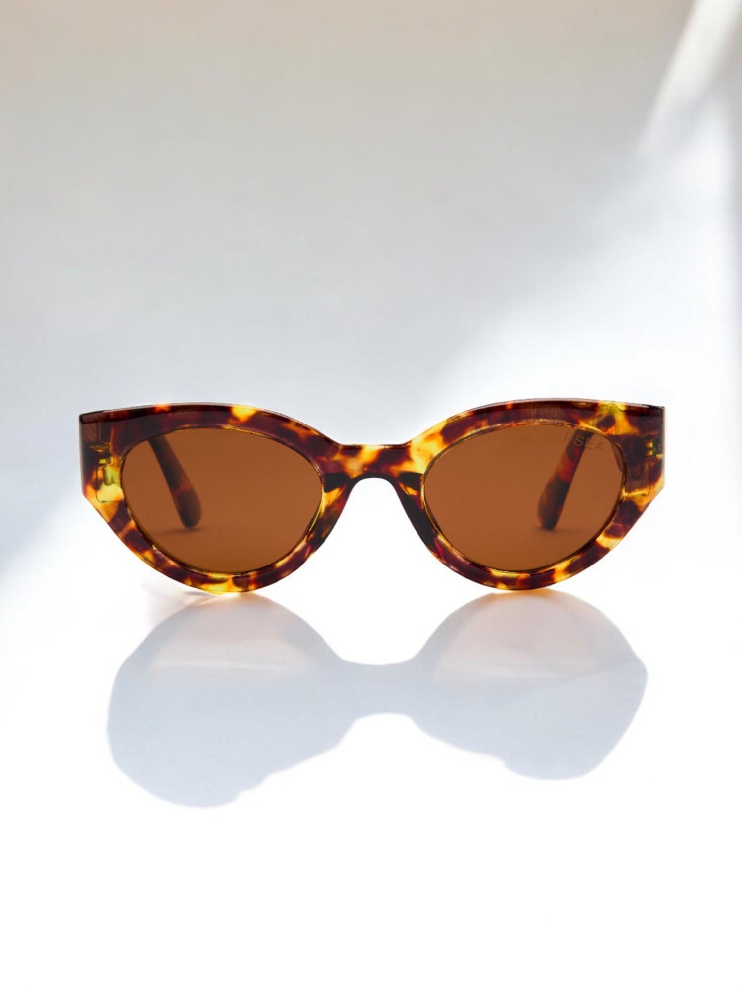 Ashbury - Sky Tort / Brown Polarized Lens