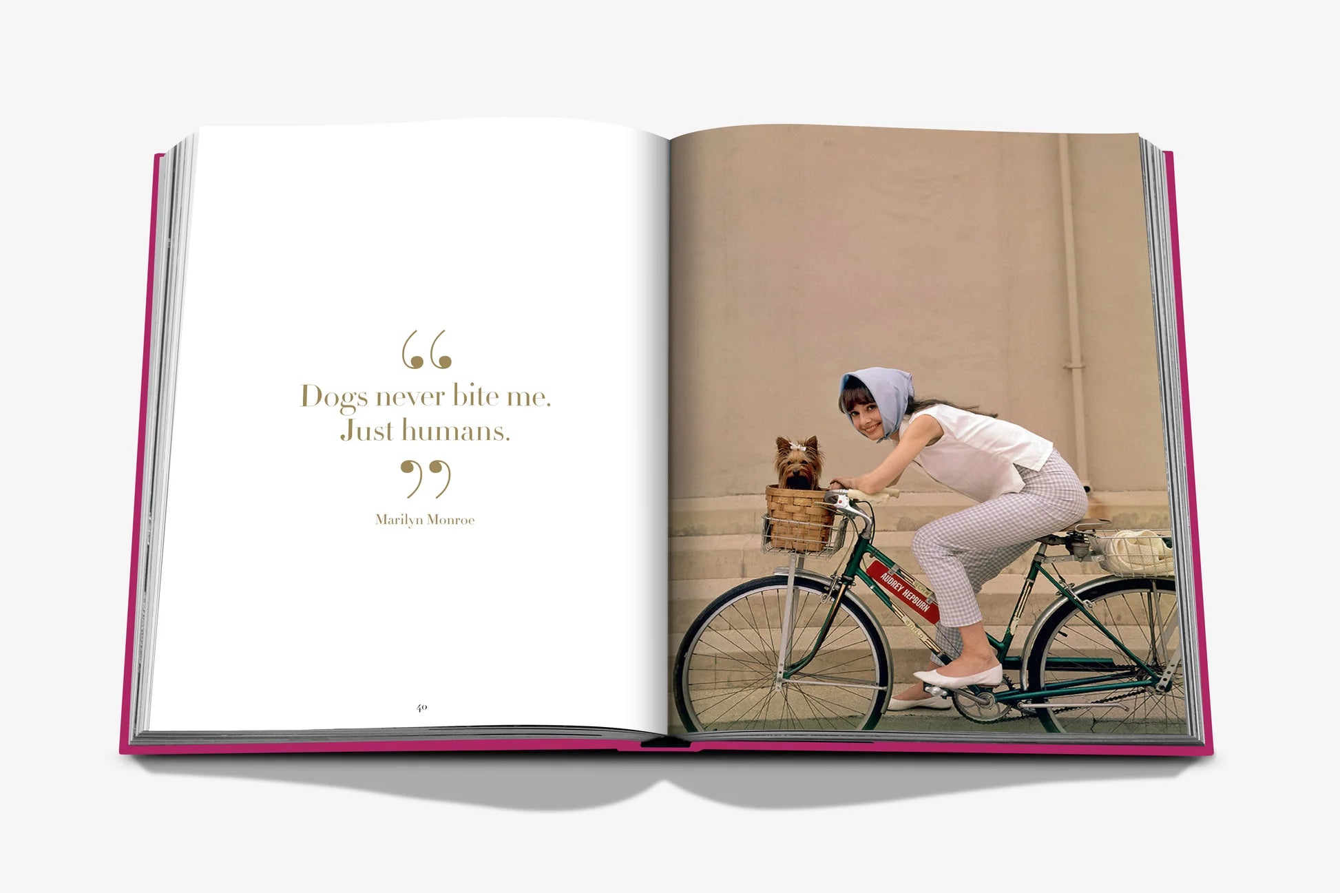 Libro Assouline Chic Dogs