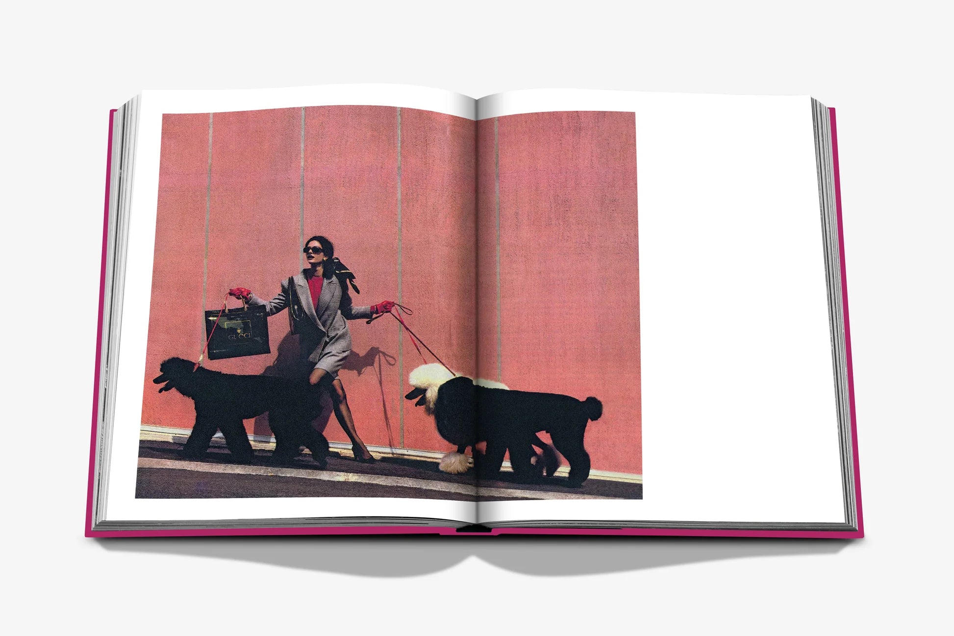 Libro Assouline Chic Dogs