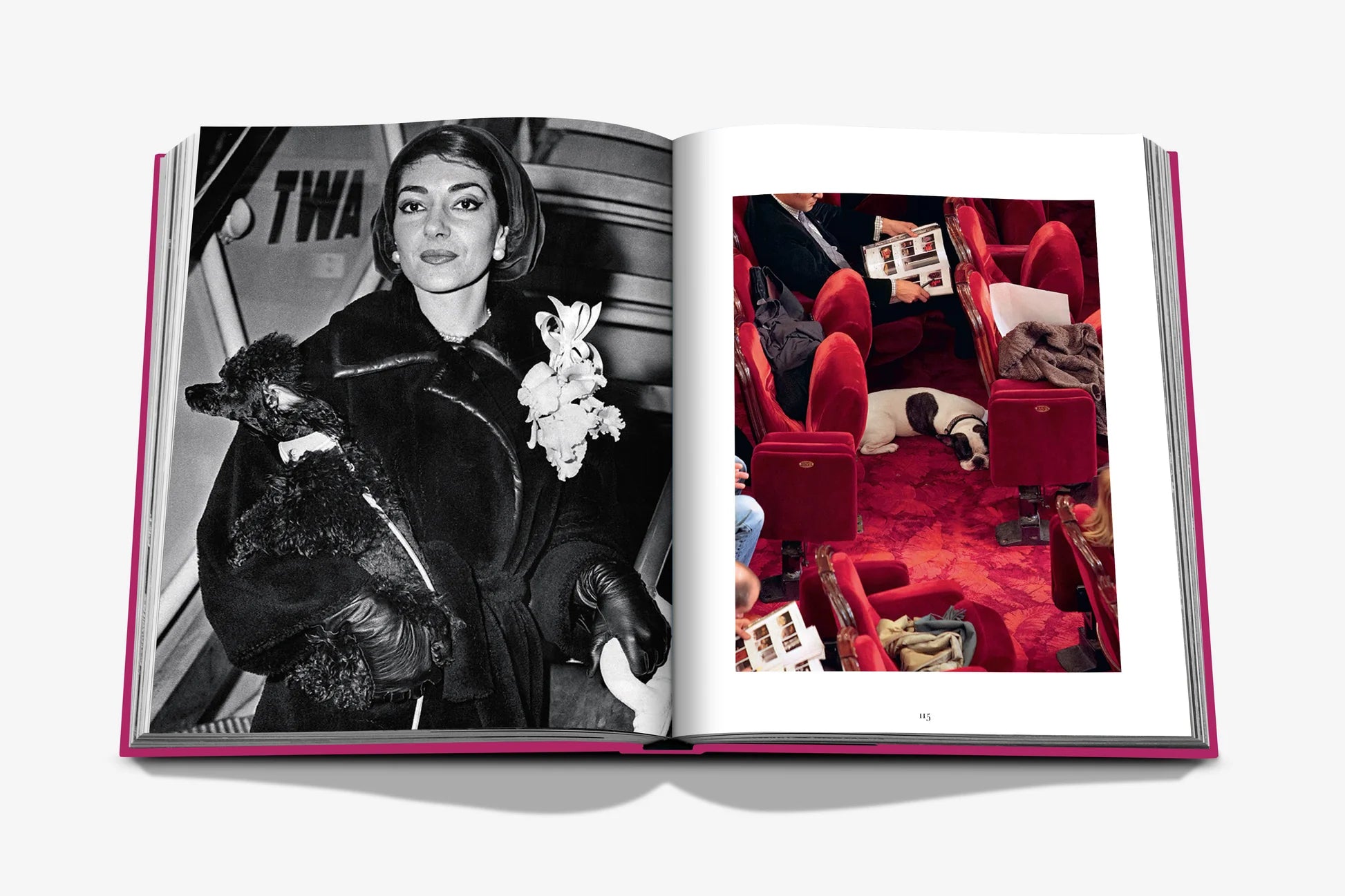 Libro Assouline Chic Dogs