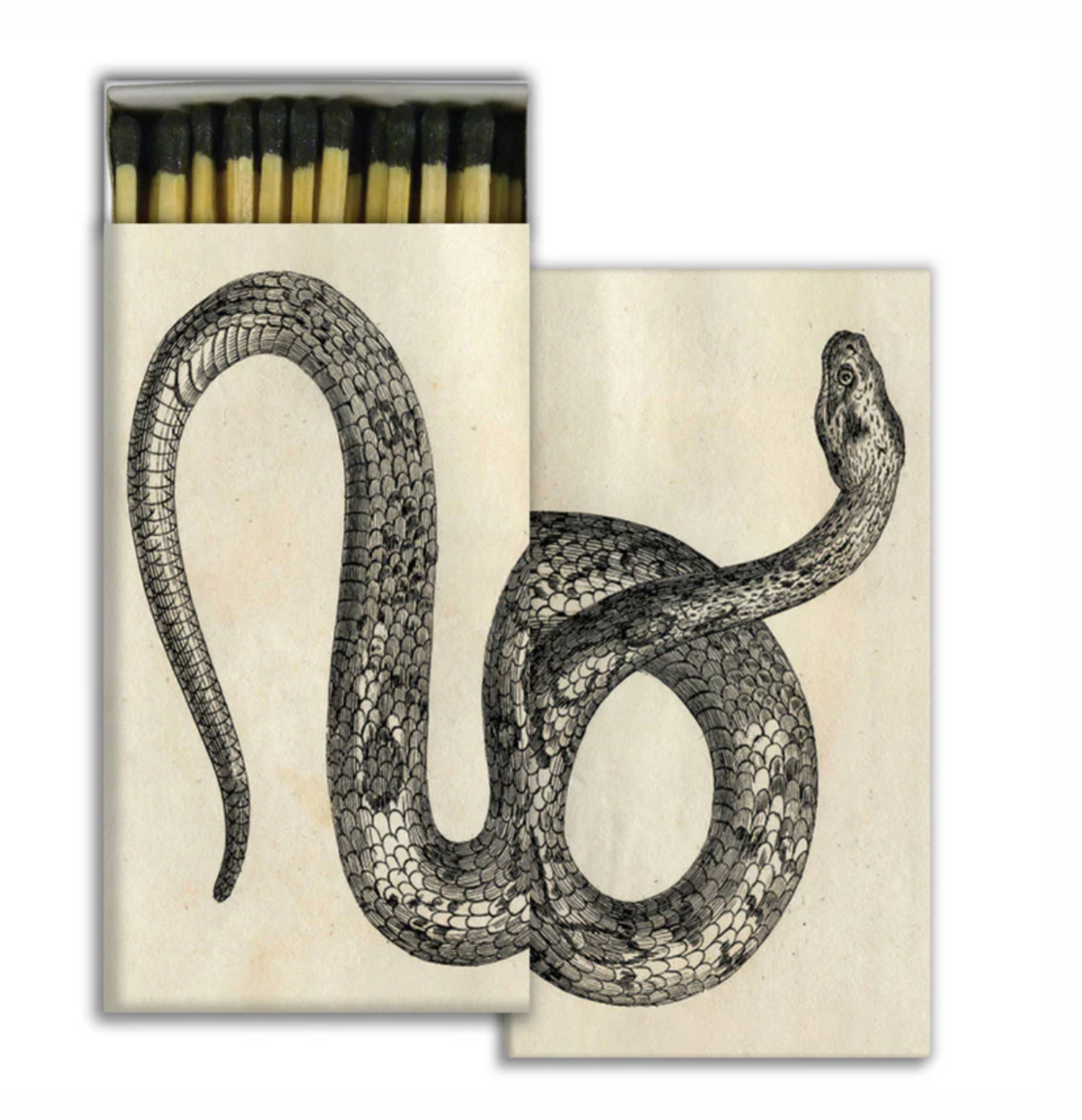 Fosforos Serpiente