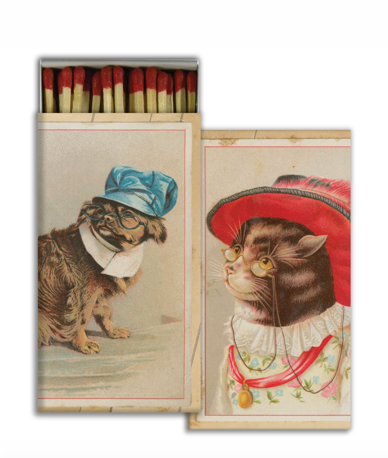 Fosforos Perro&Gato