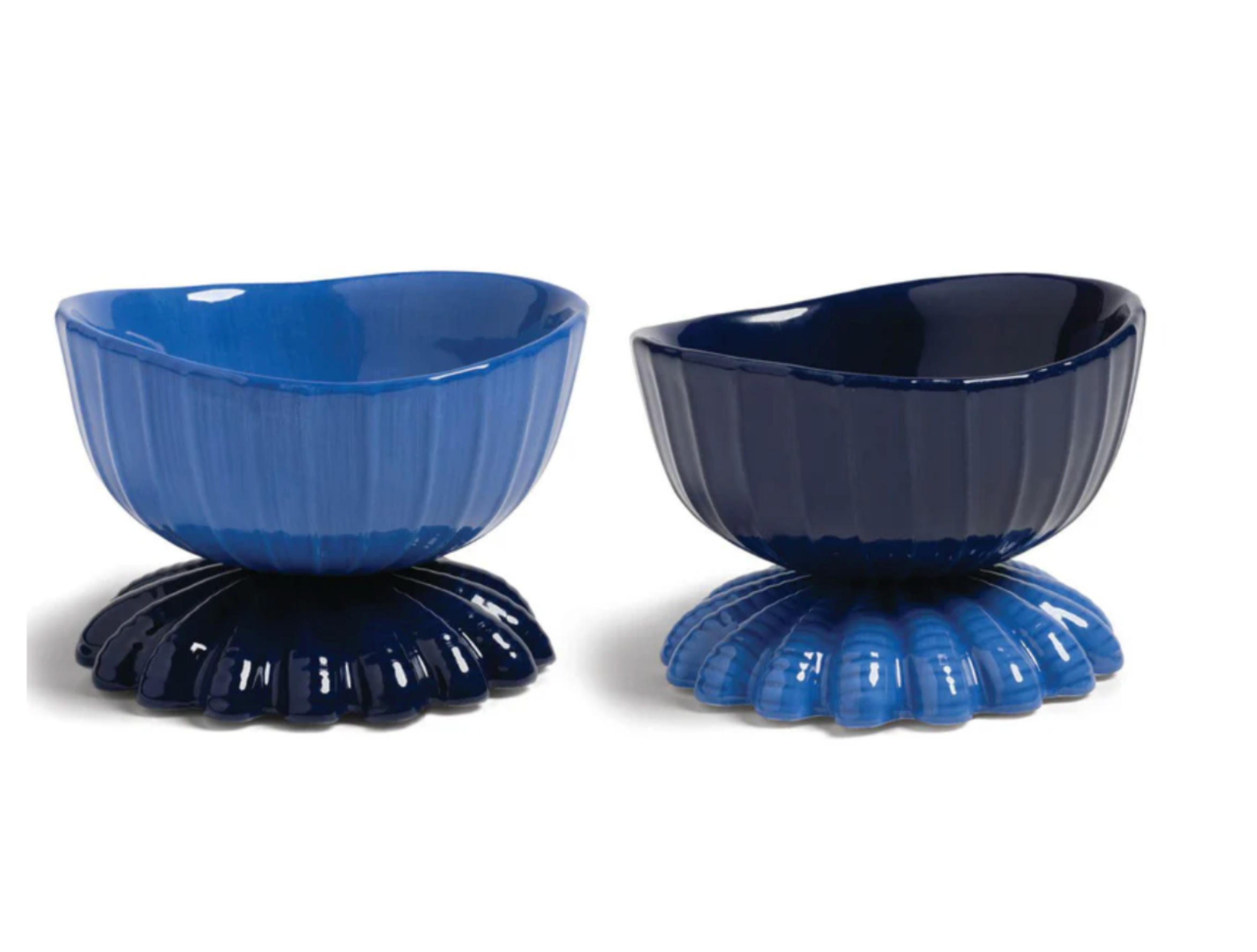 Bowl Almeja - Azul