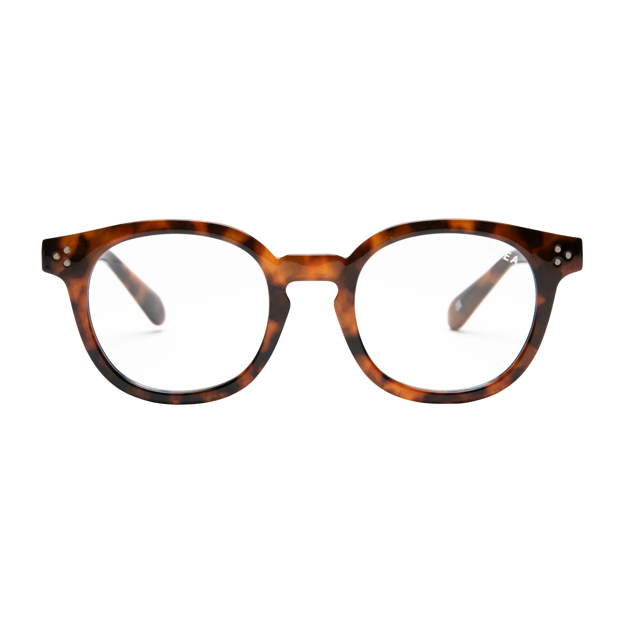 Hayden Reader Tort / Blue Light