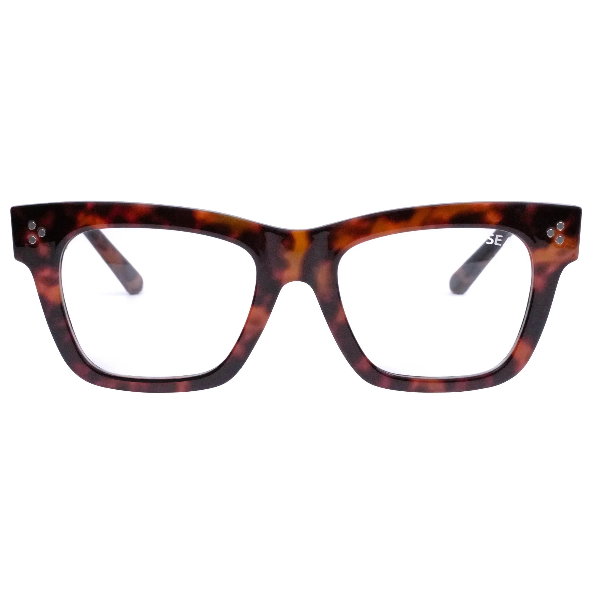 LANDRY READER Tort / Blue Light