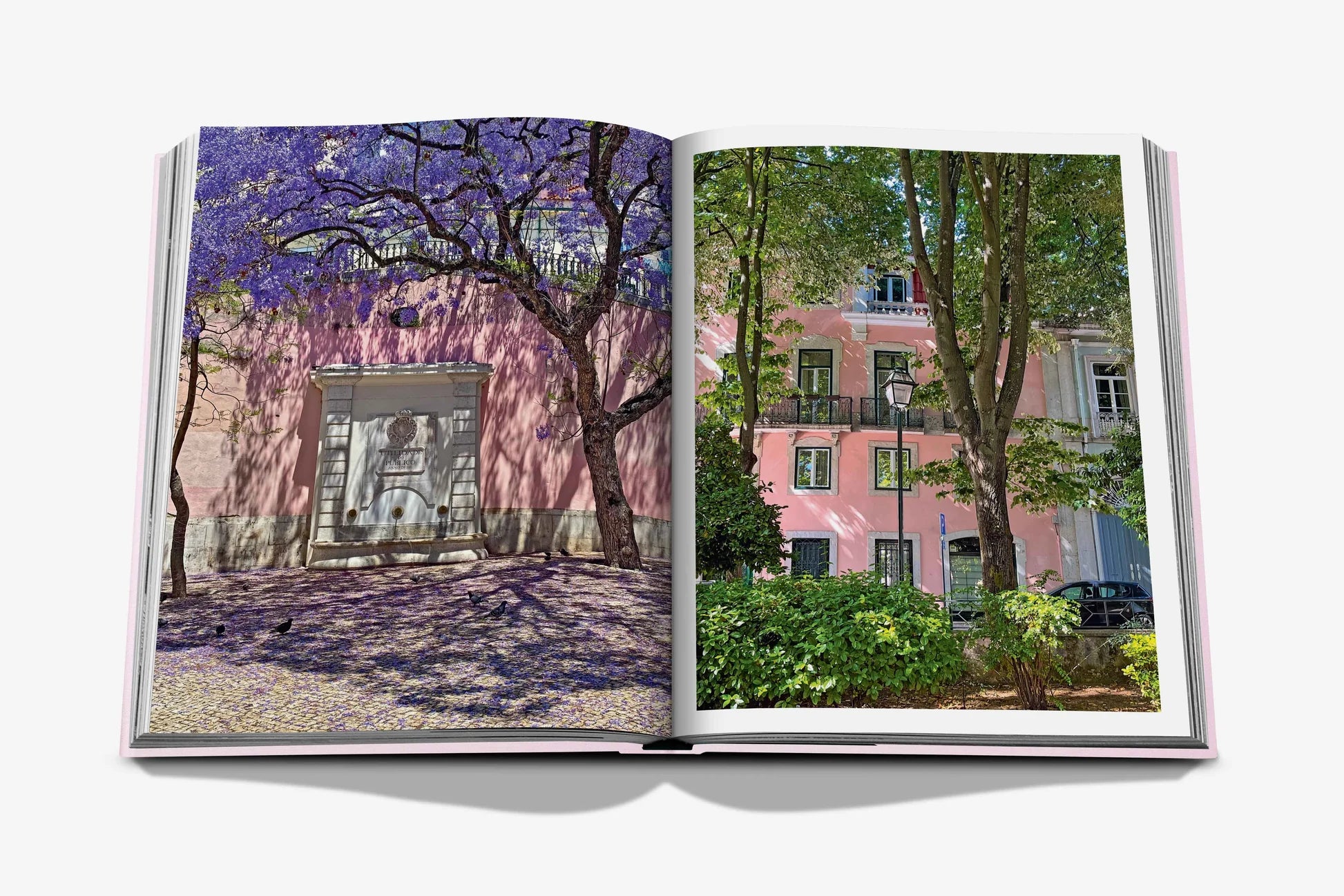 Libro Assouline Lisboa Luz