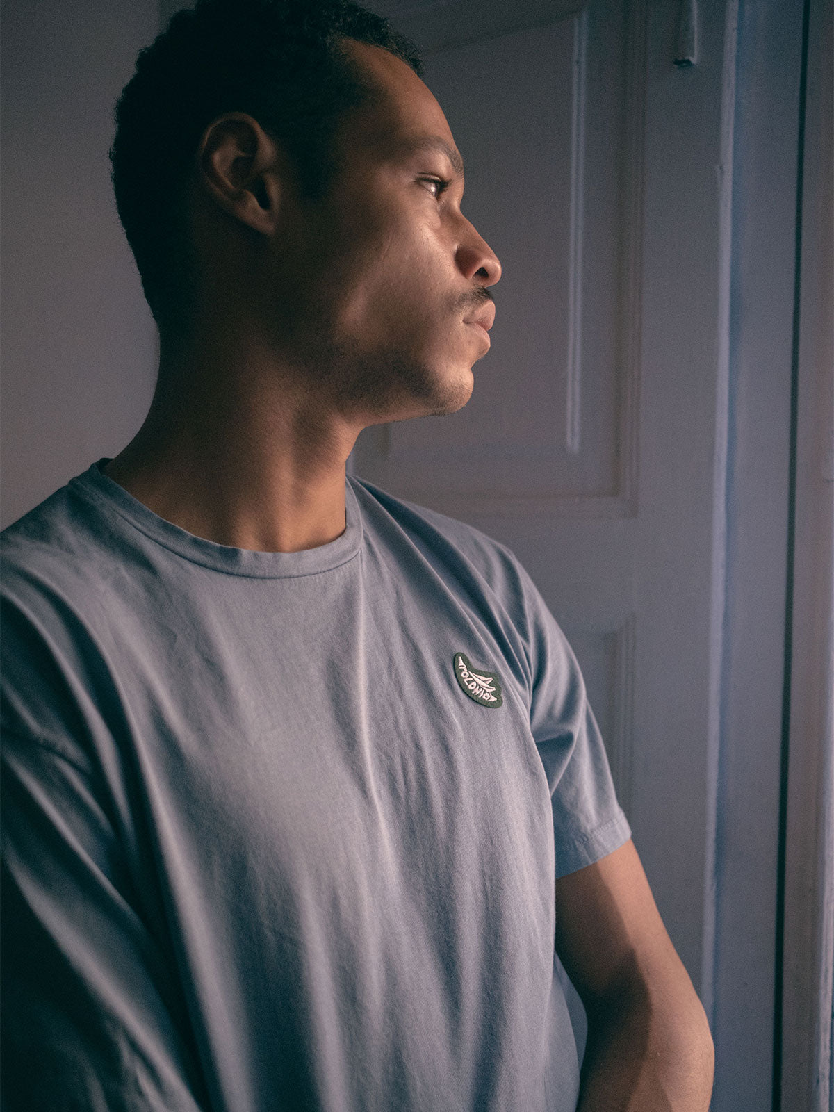 Polera Polonio Logo Tee - Blue