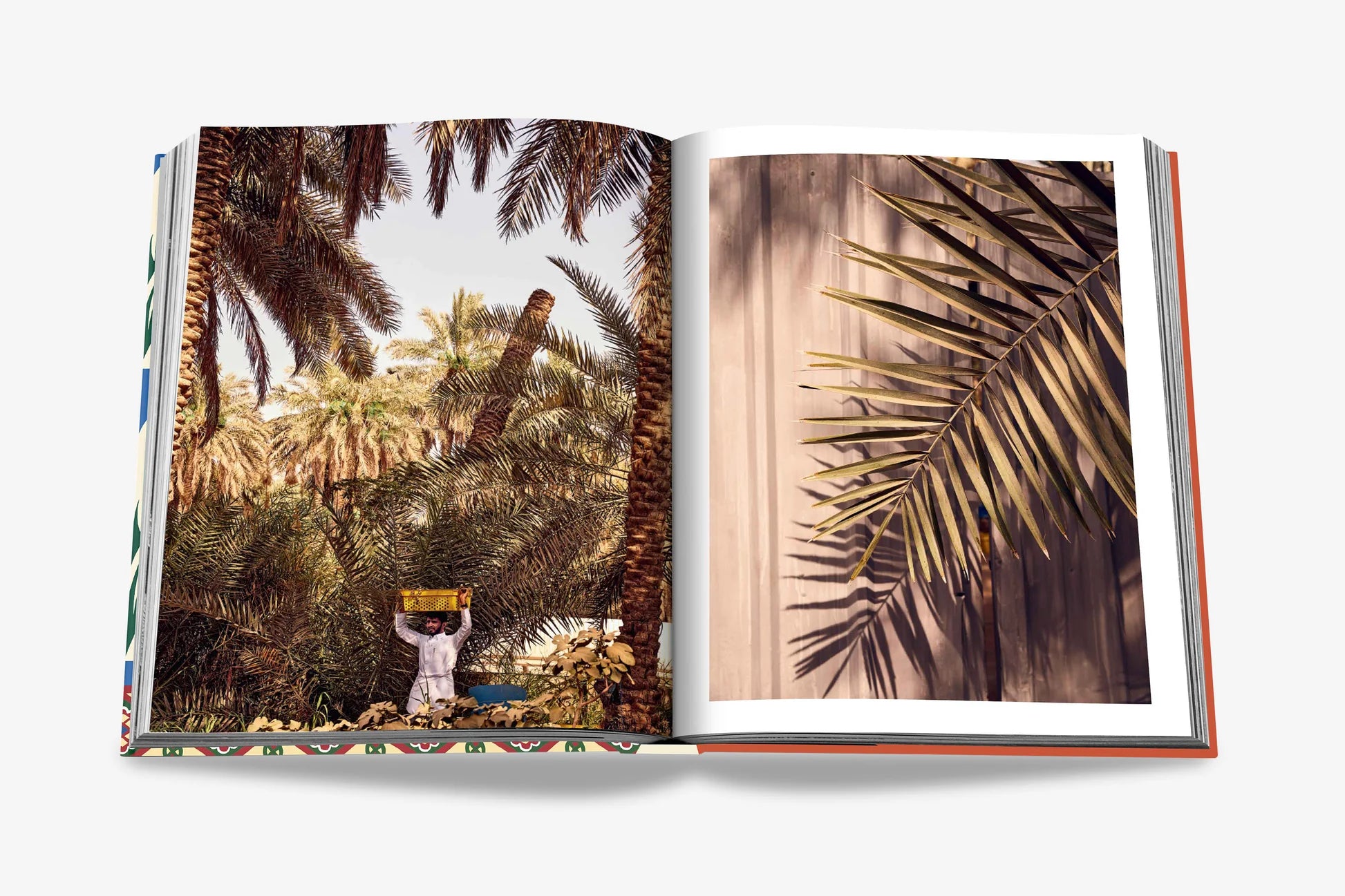 Saudi Dates: A Portrait Of The Sacred Fruit