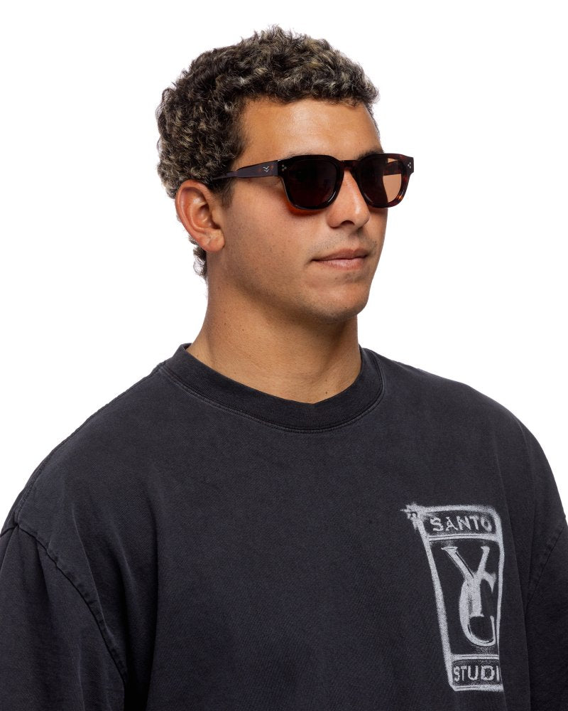 Camden - Tort / Brown Polarized Lens