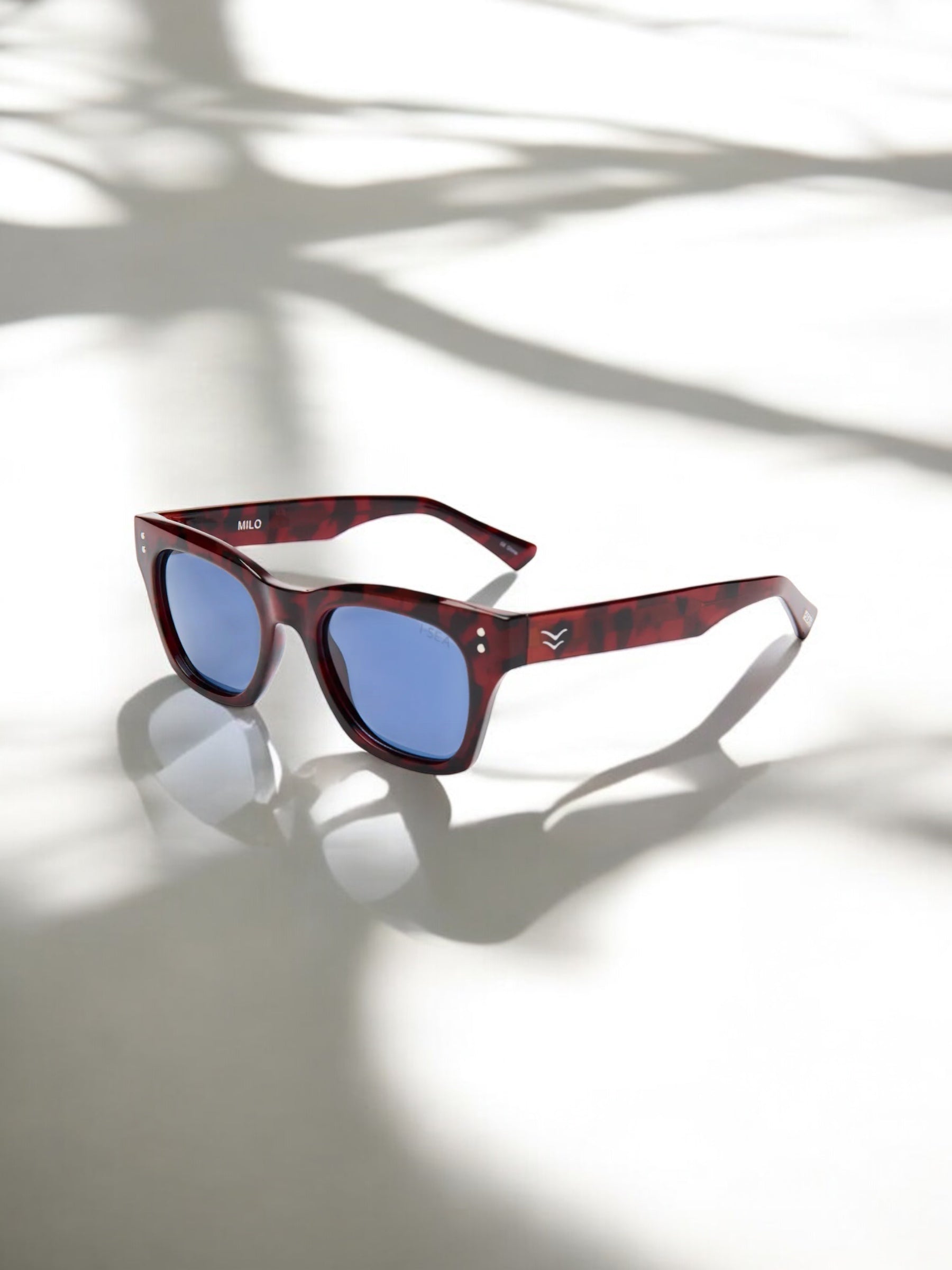 Anteojos Milo – Tort